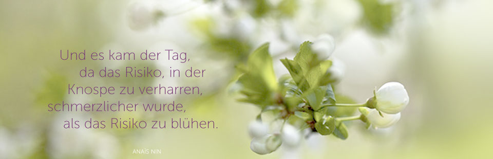 Blume mit Anais Nin - Zitat